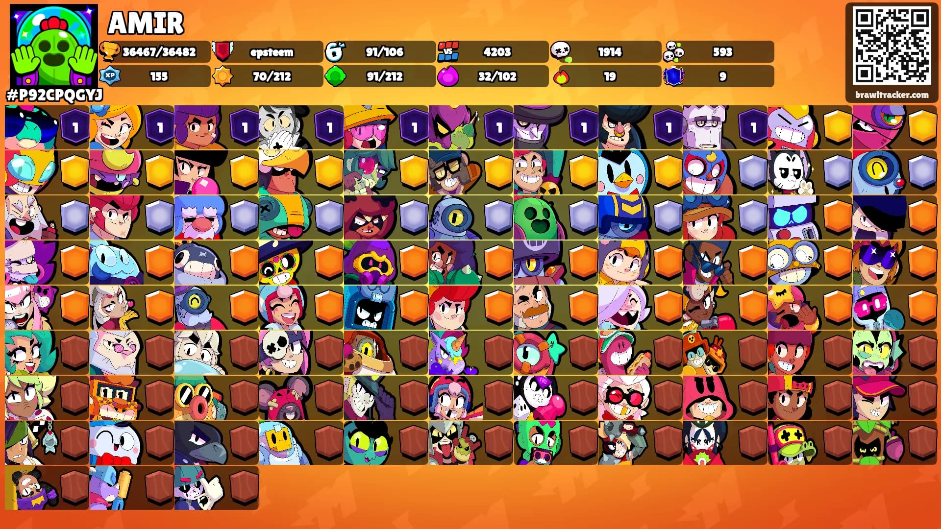 AMIR's Ranks