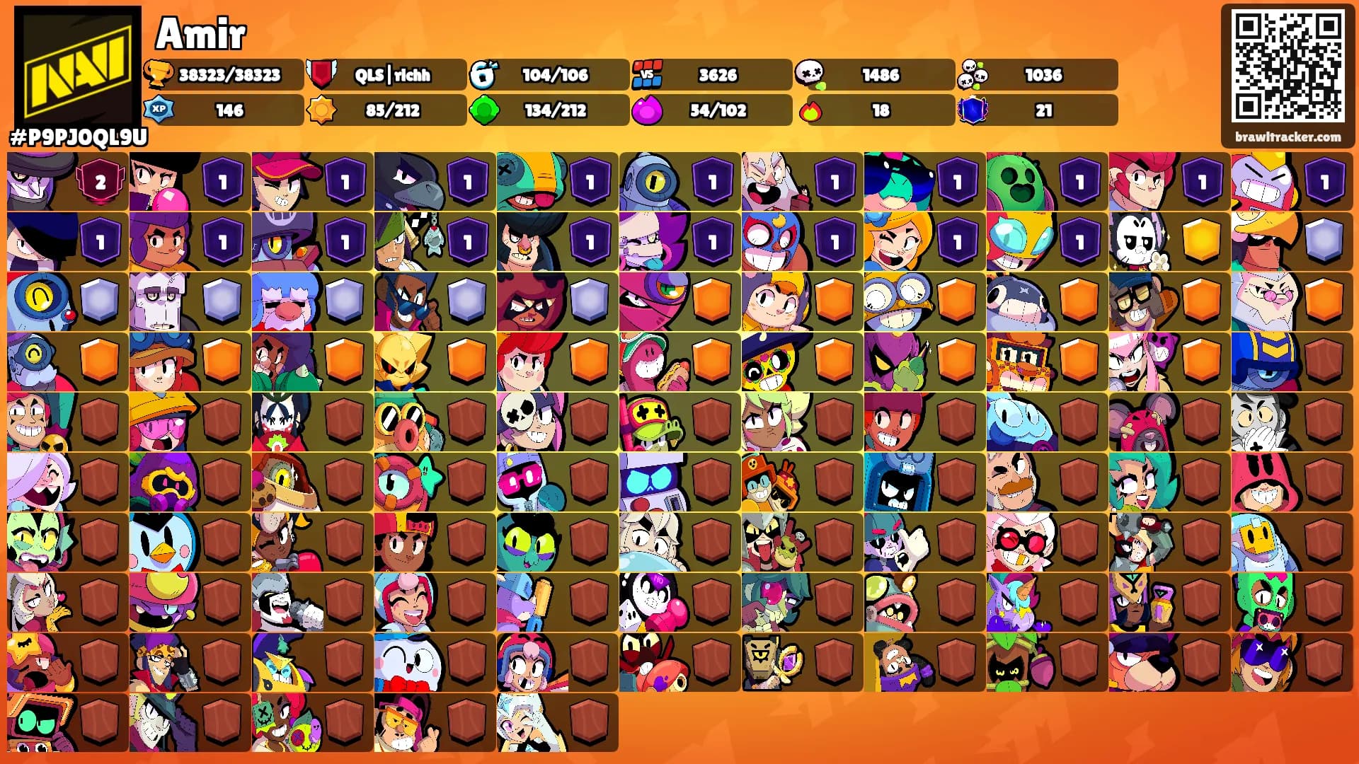 Amir's Ranks