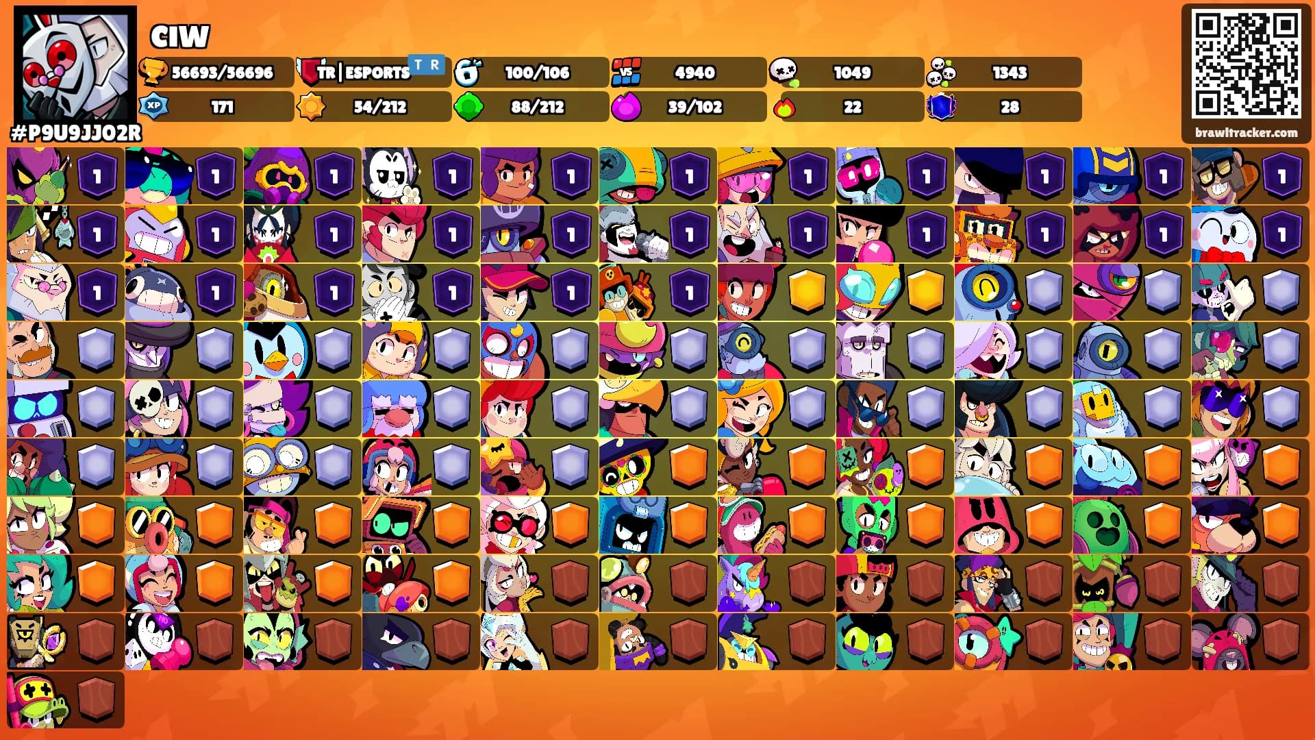 cıw's Ranks