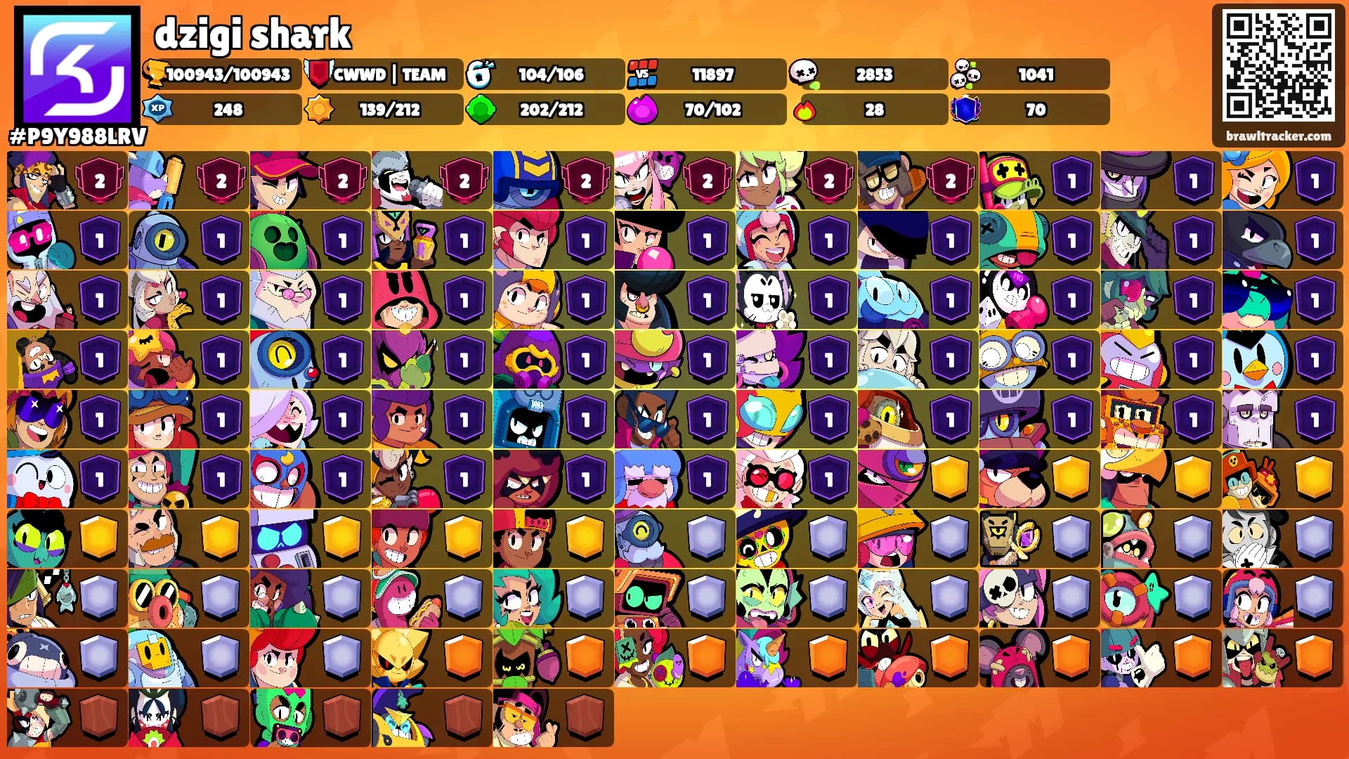 dzigi shark's Ranks