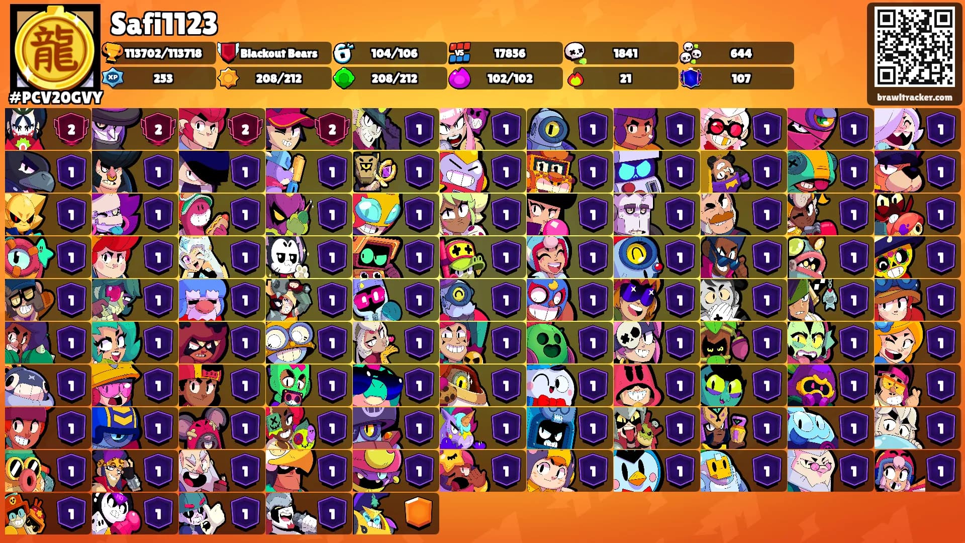 Safi1123's Ranks