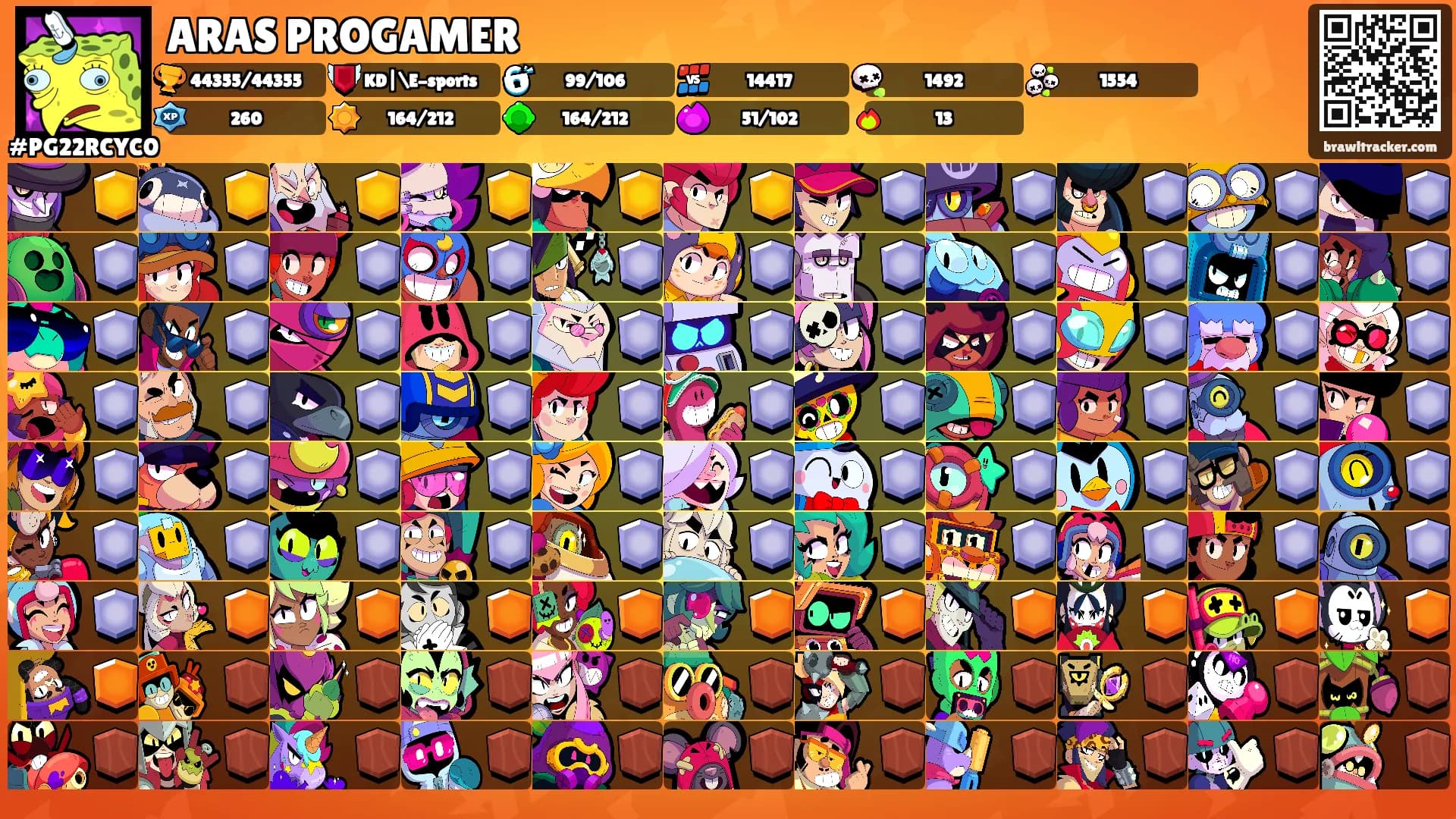 ARAS PROGAMER's Ranks
