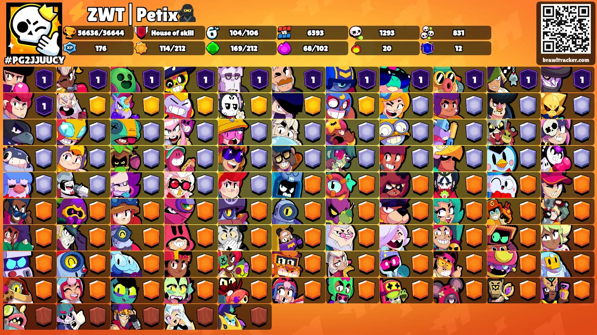 ⚡️ZWT|Petix🥷's Ranks