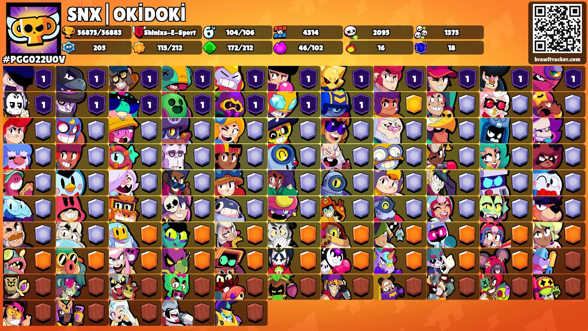 SNX|OKİDOKİ's Ranks