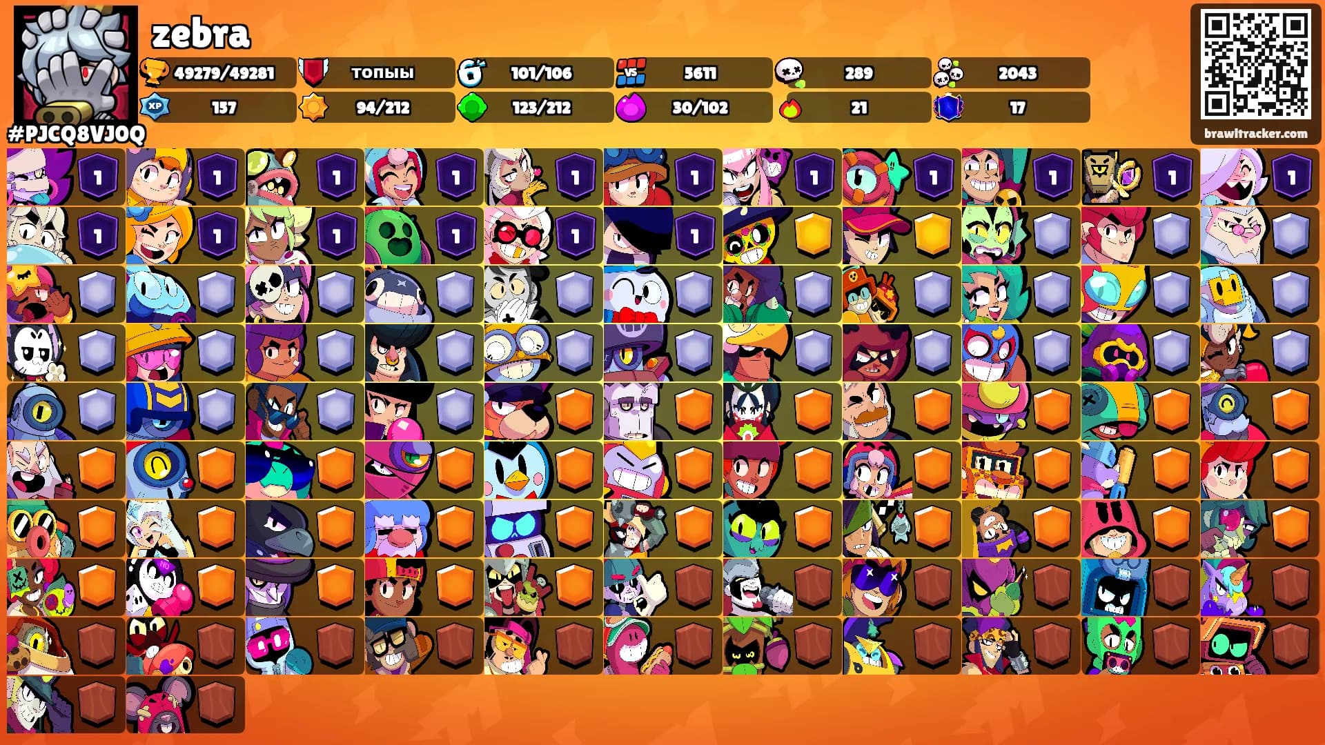 zebra's Ranks