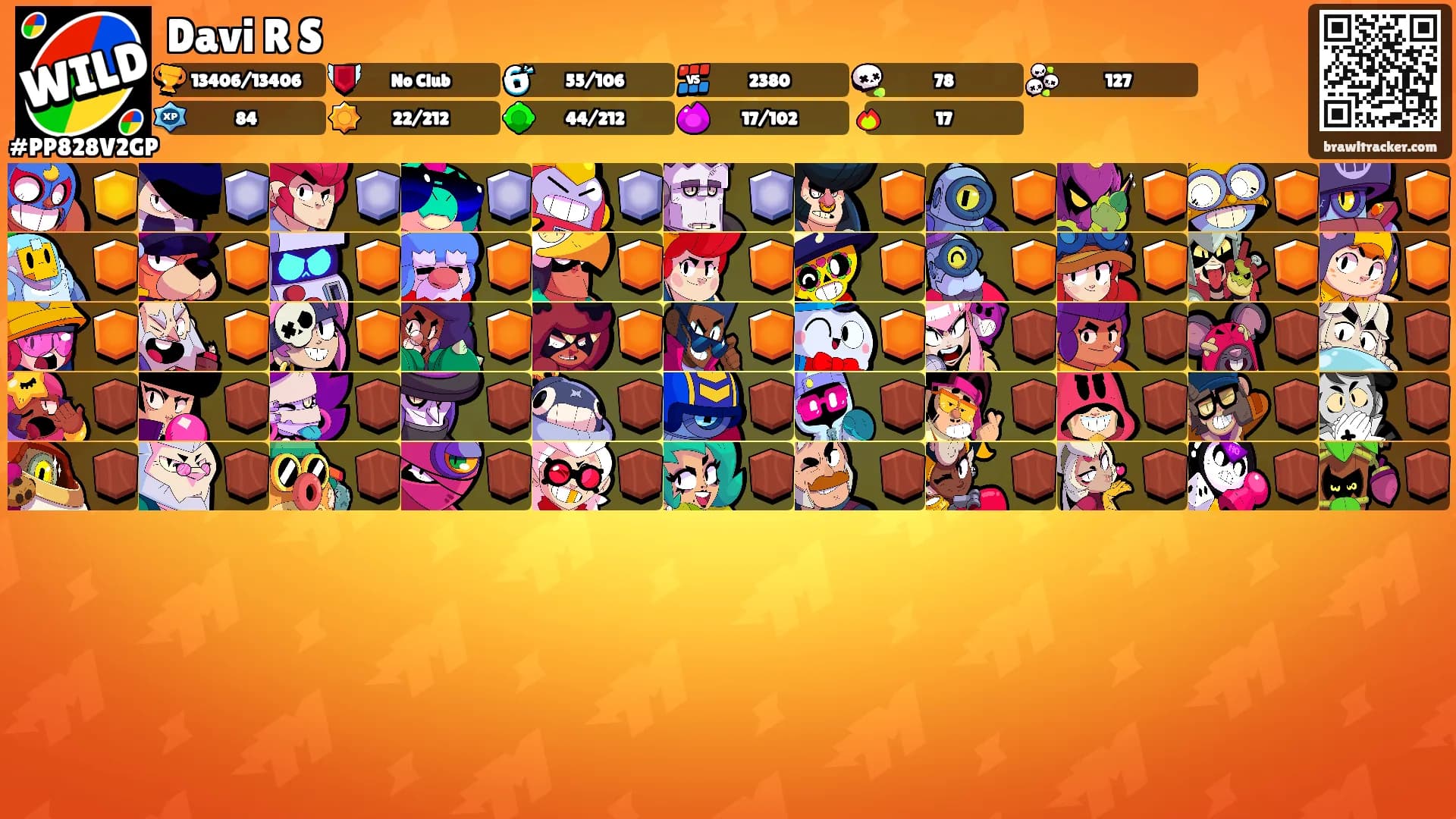 Davi R S's Ranks