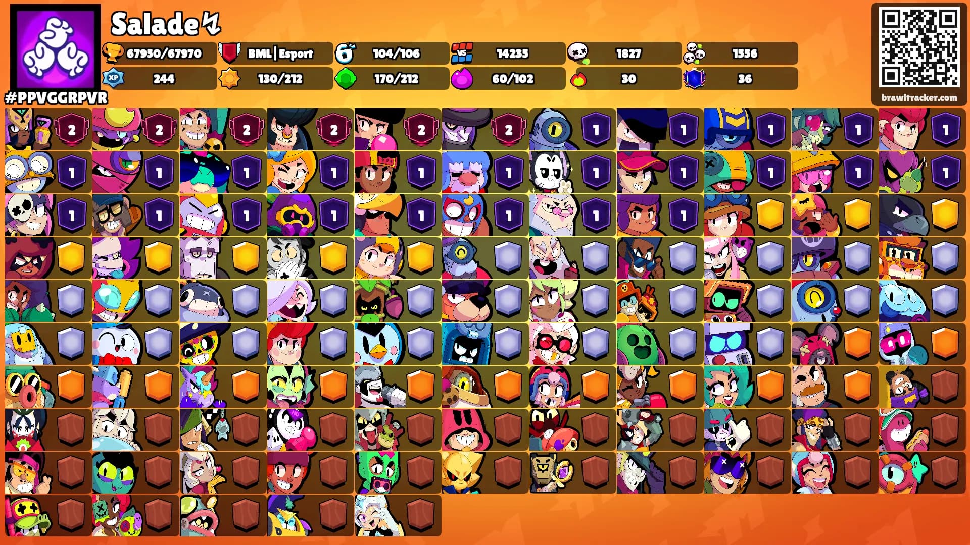 Salade↯'s Ranks