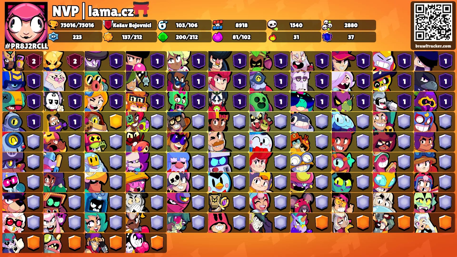 NVP|lama.cz⛩️'s Ranks