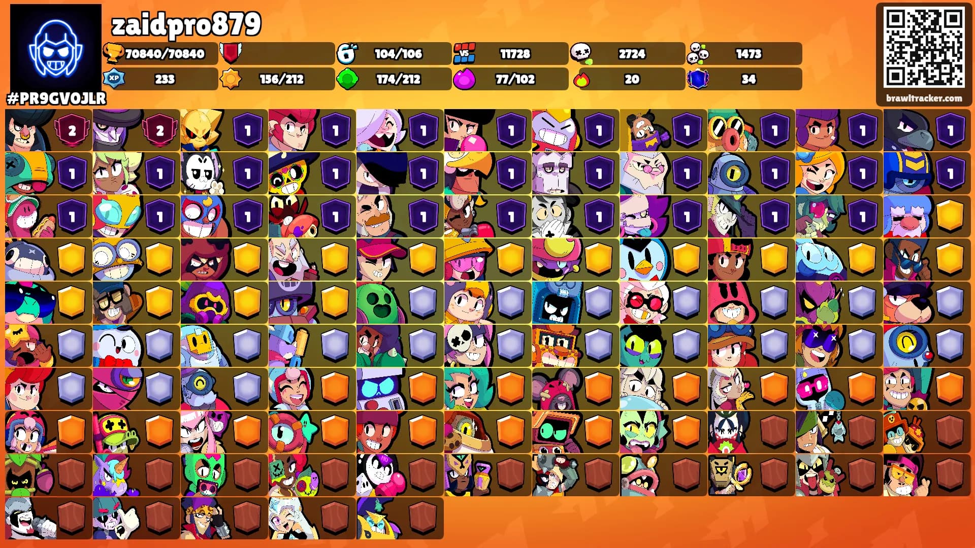 zaidpro879's Ranks
