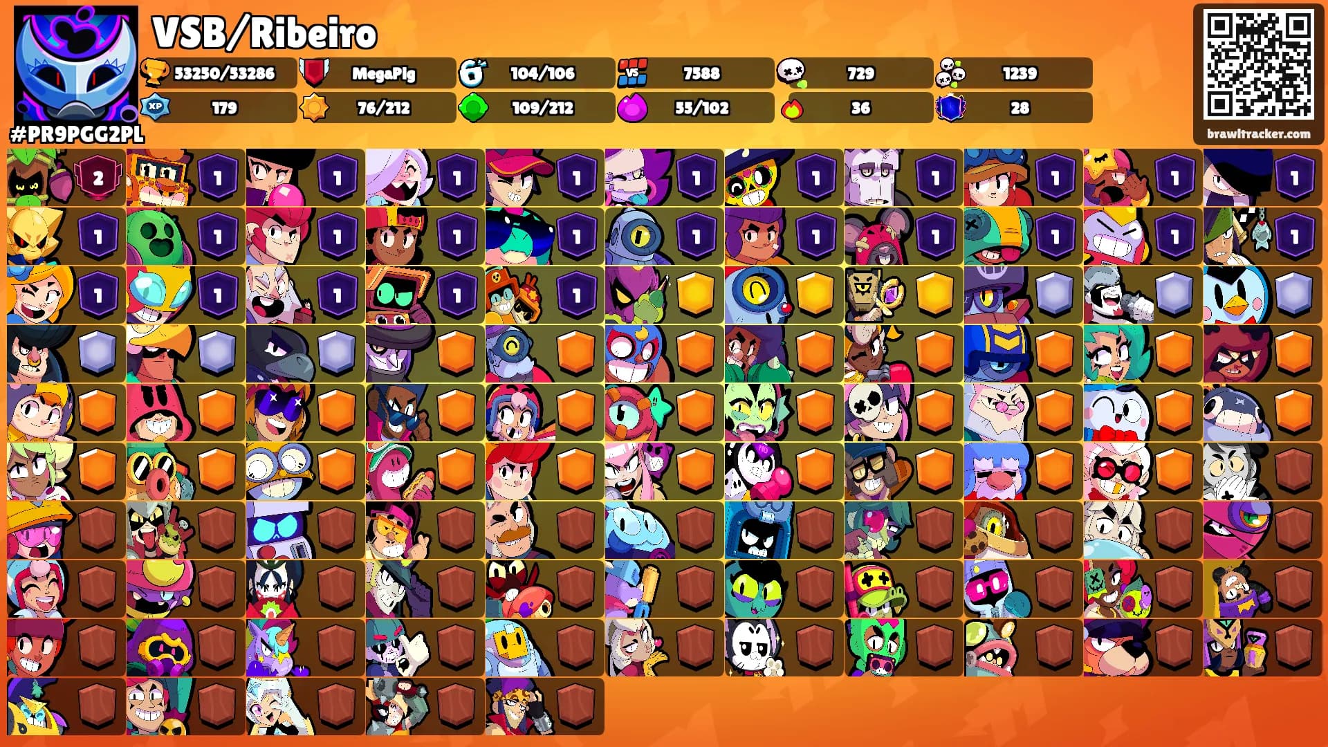 VSB/Ribeiro⚡️'s Ranks