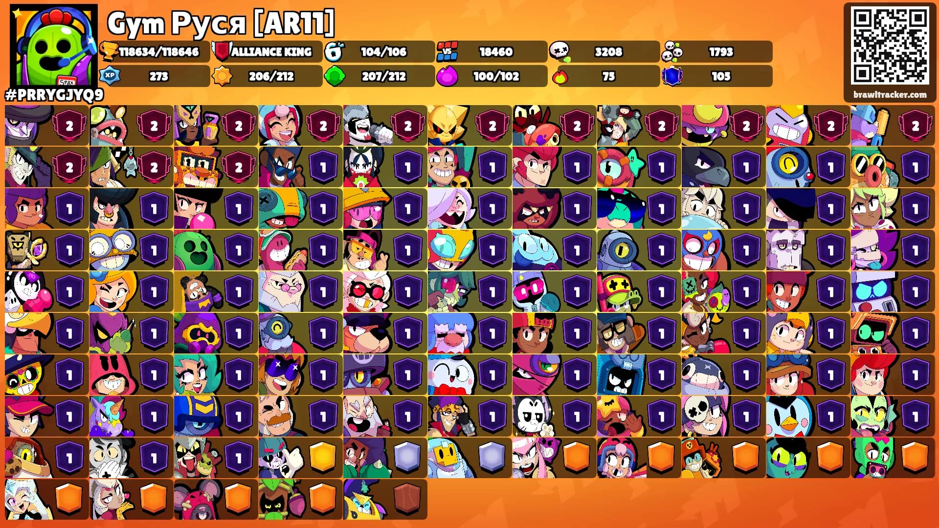 Gym Руся [AR11]'s Ranks