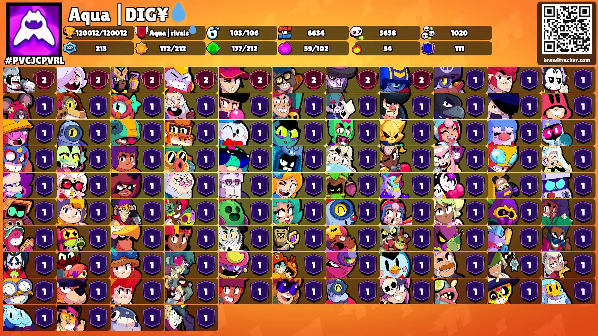Aqua |DIG¥💧's Ranks