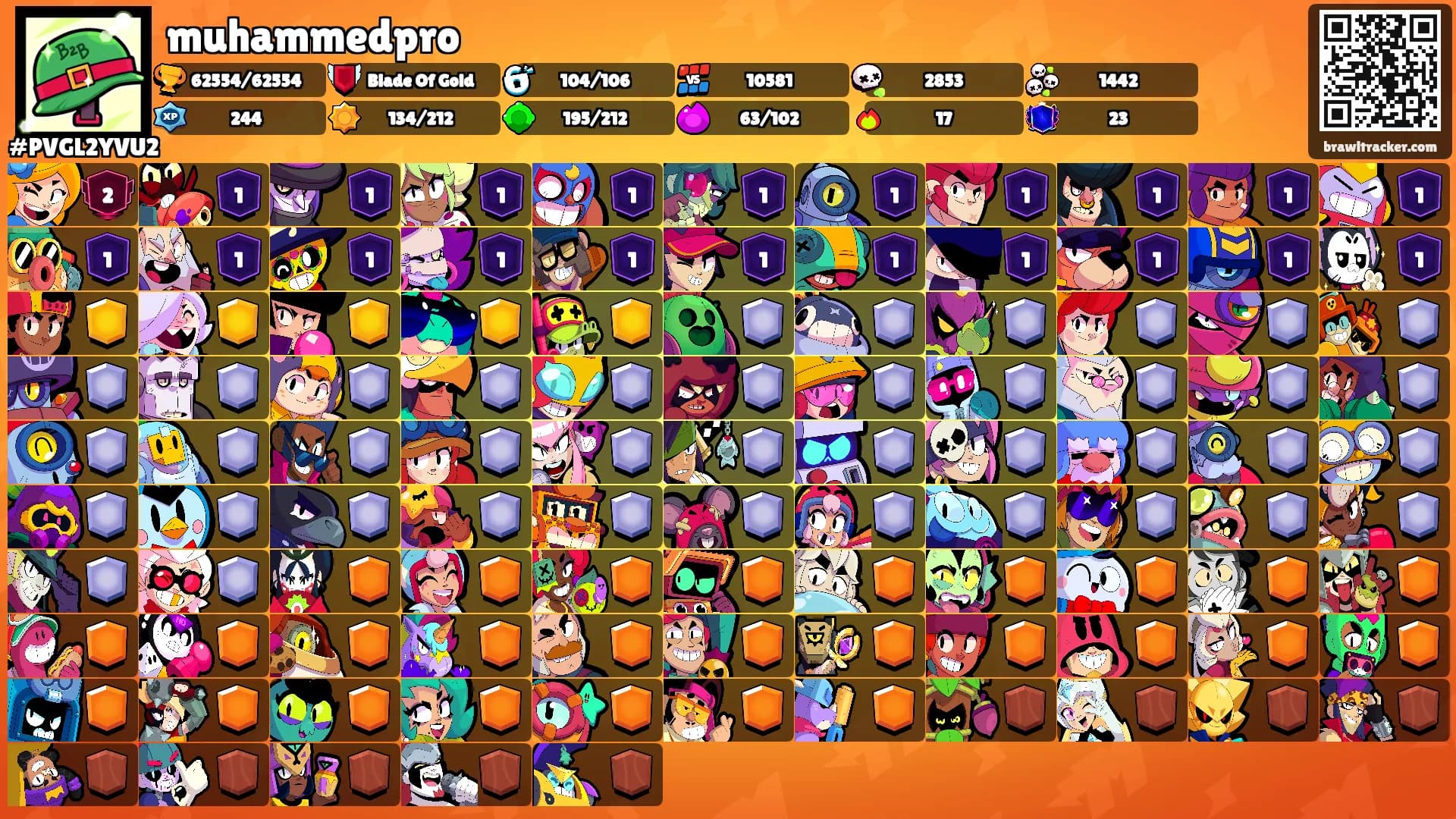 muhammedpro's Ranks