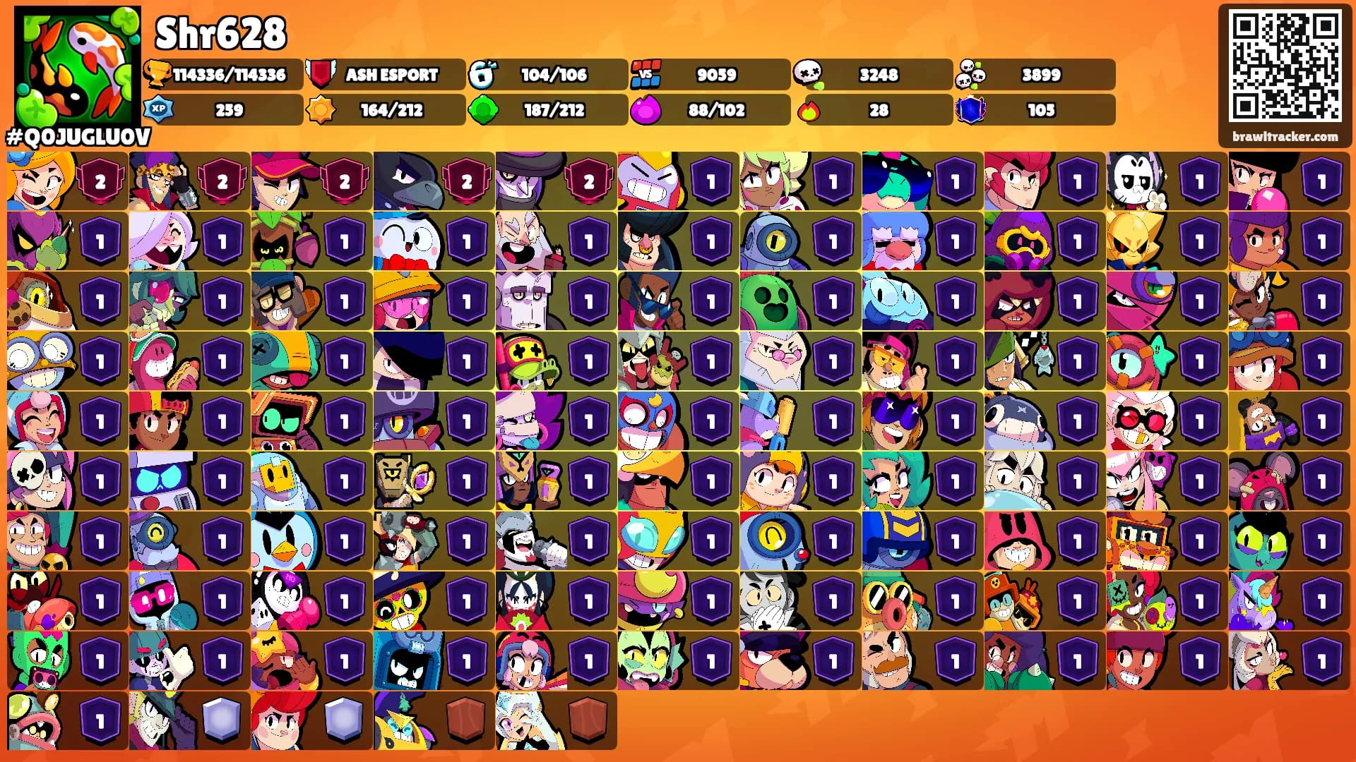 Shr628's Ranks