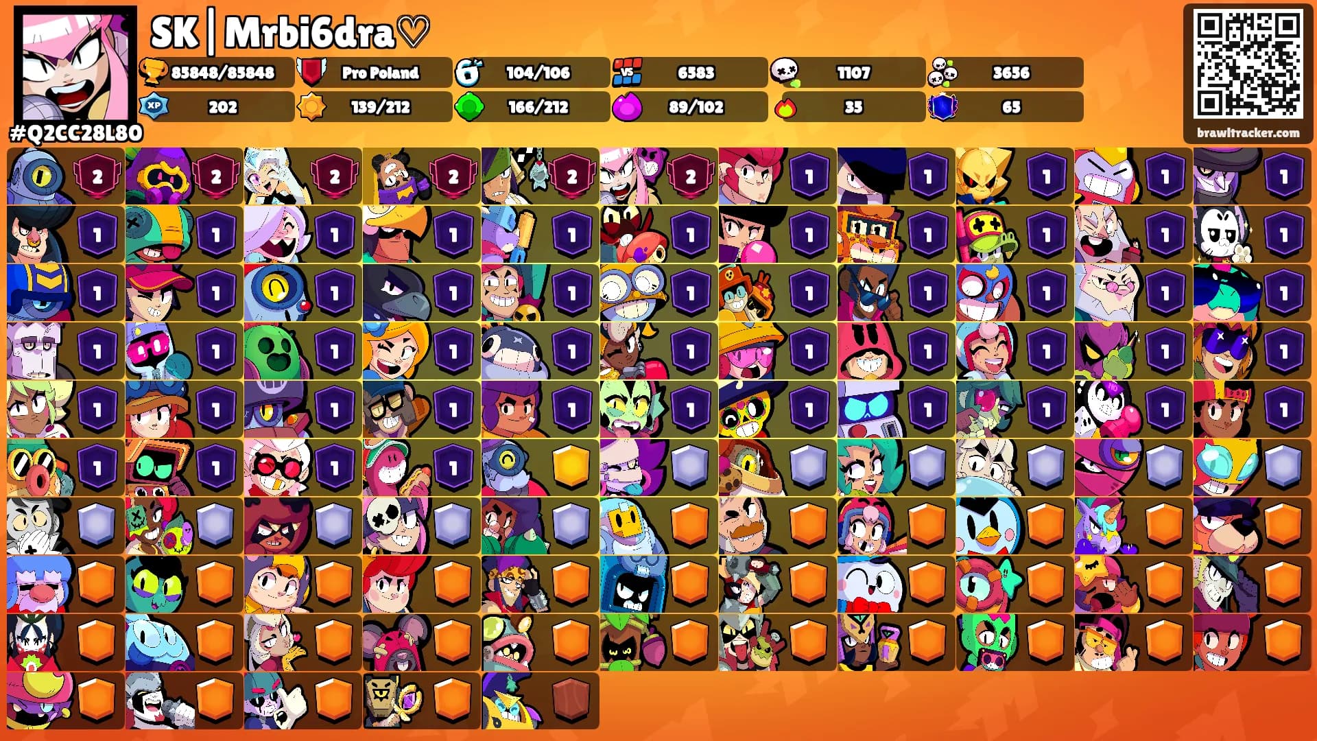 SK|Mrbi6dra♡'s Ranks