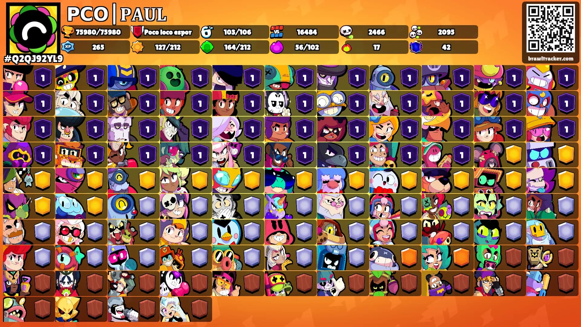 𝗣𝗖𝗢|𝐏𝐀𝐔𝐋's Ranks