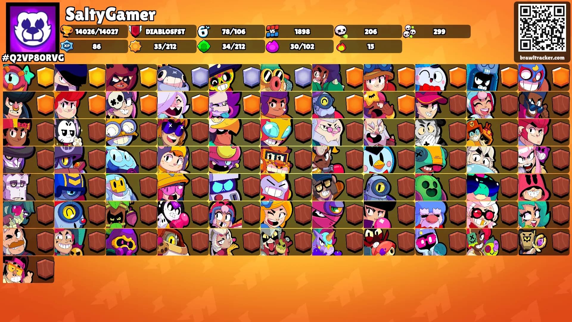 SaltyGamer's Ranks
