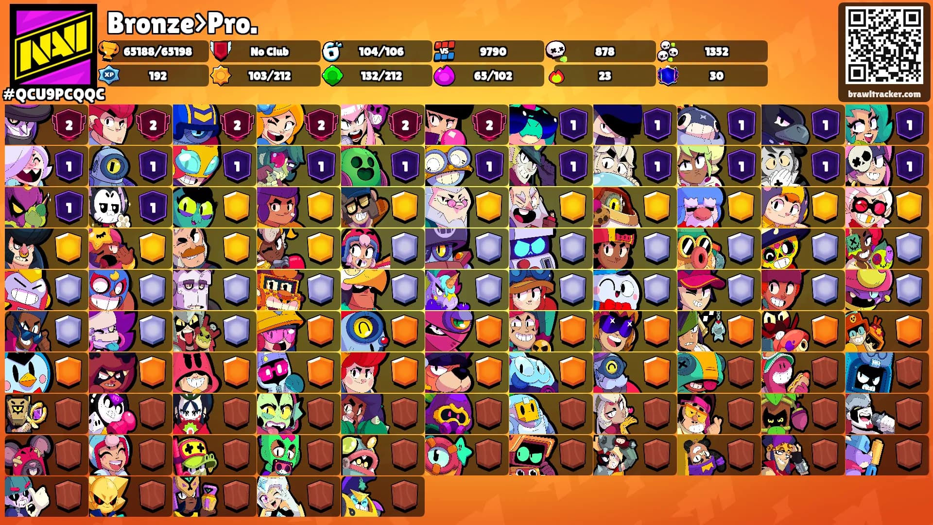 Bronze>Pro.'s Ranks