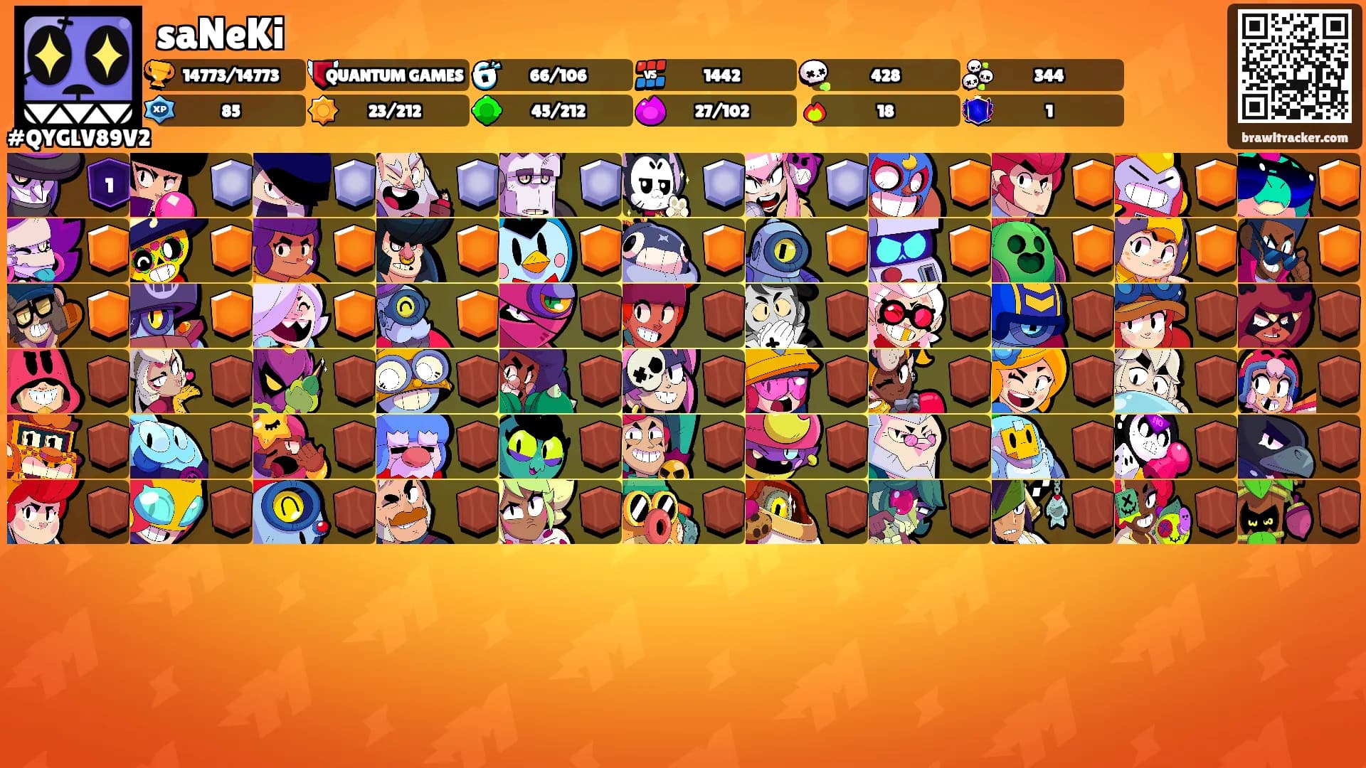 saNeKi's Ranks