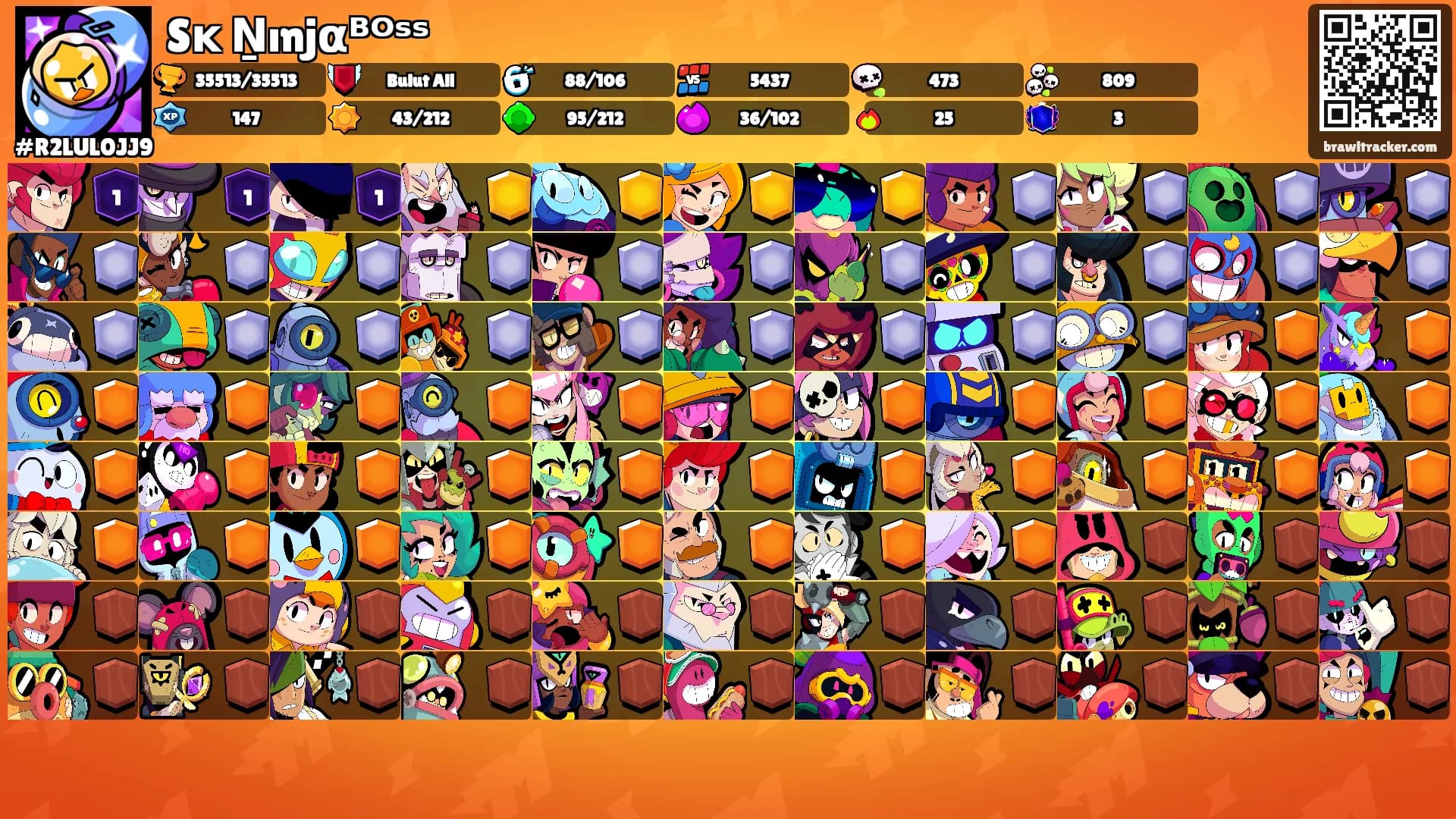 Sᴋ᭄Ṉınjαᴮᴼˢˢ's Ranks