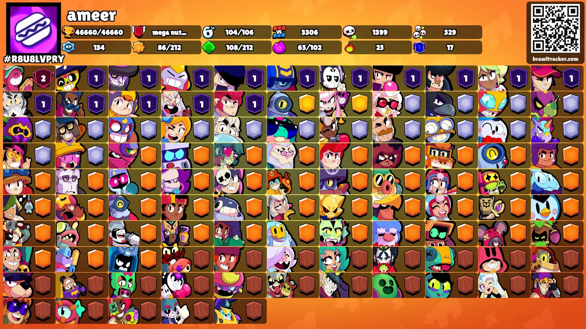 ameer's Ranks