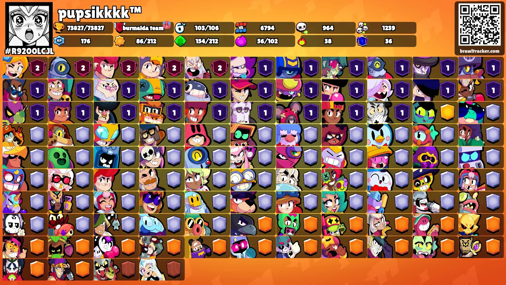 pupsikkkk™'s Ranks