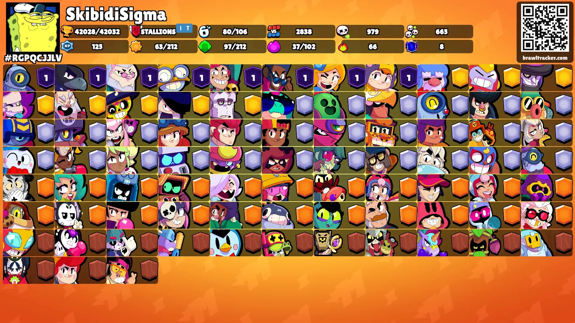 SkibidiSigma's Ranks