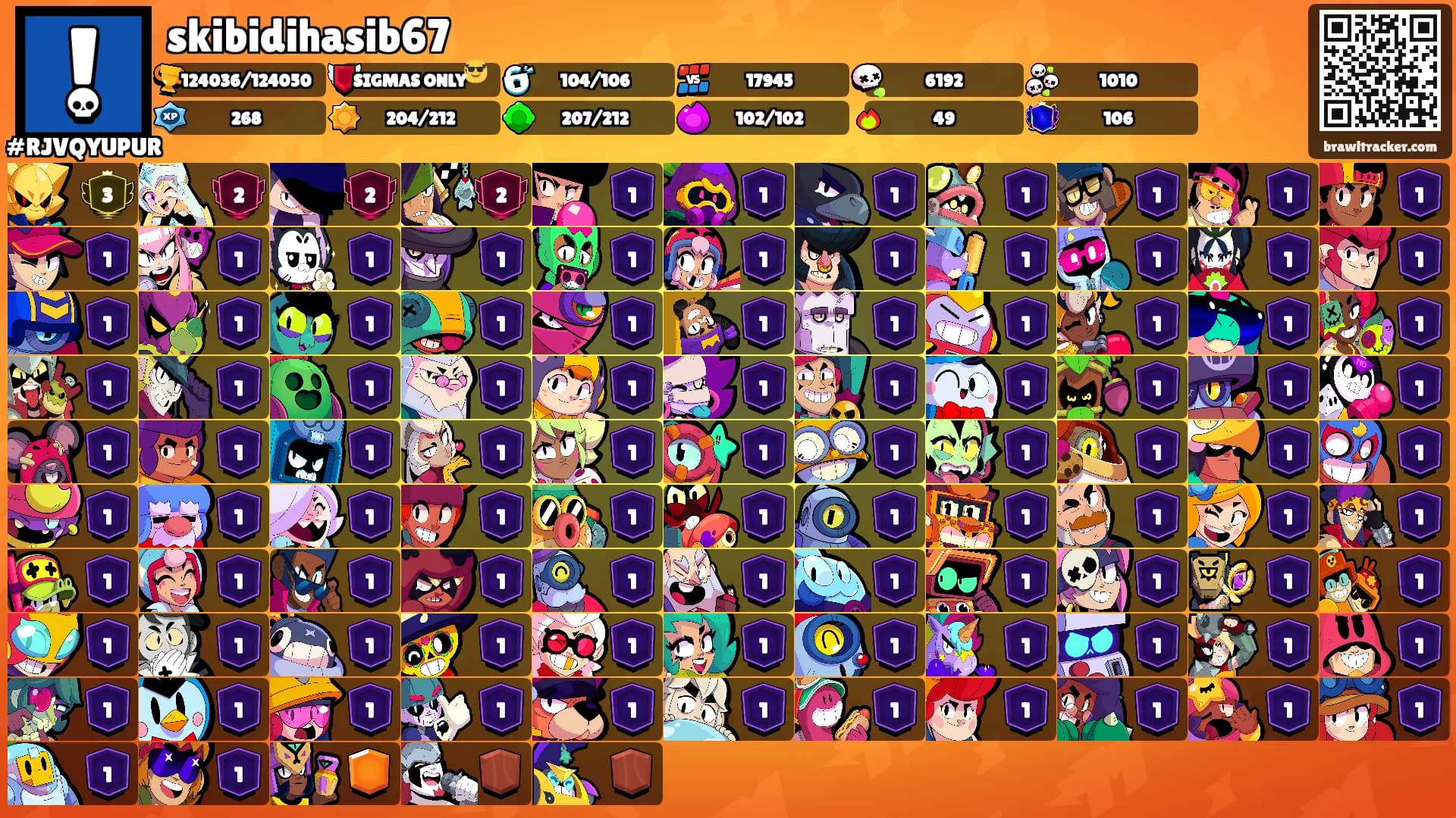 skibidihasib67's Ranks