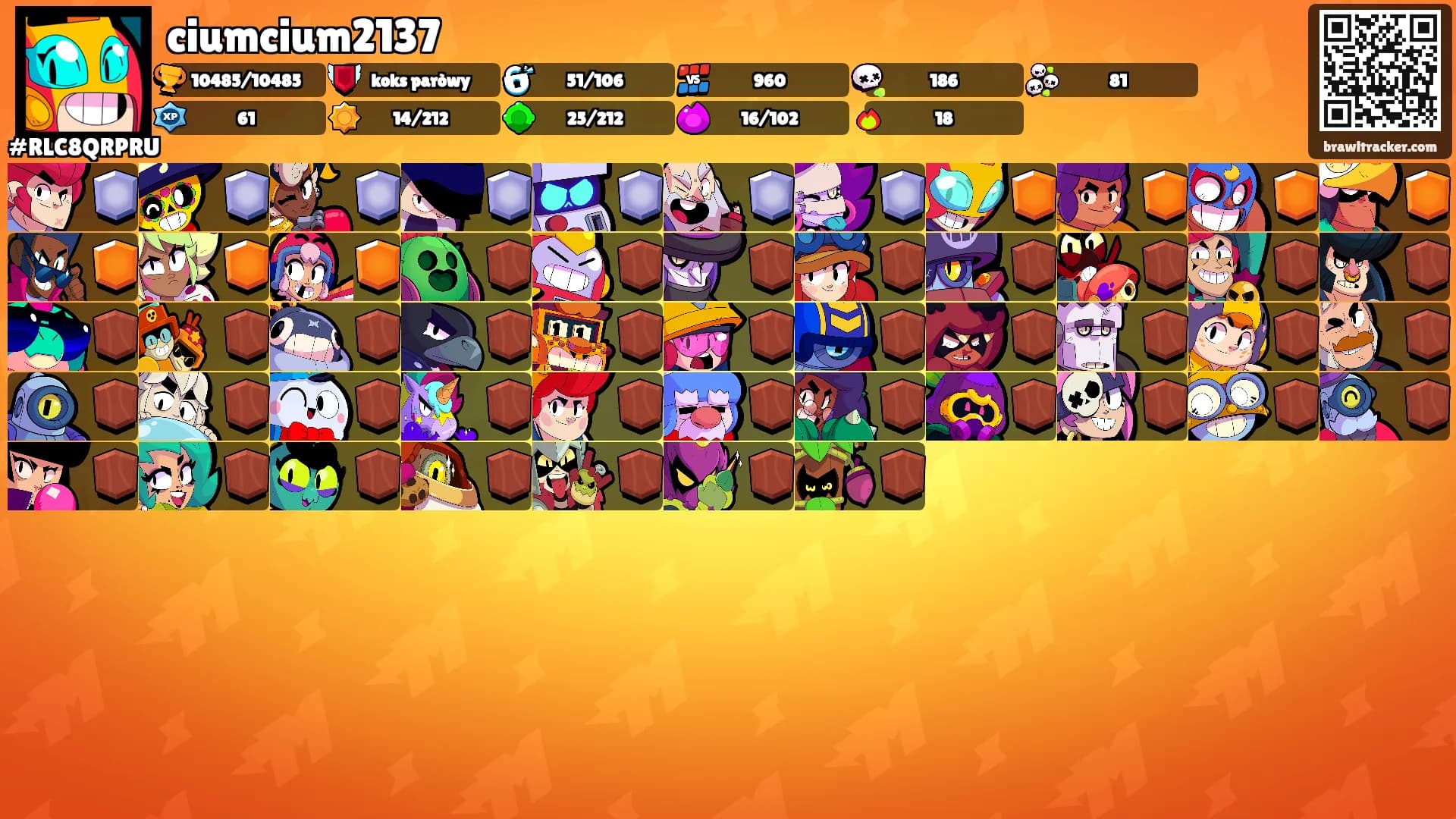 ciumcium2137's Ranks