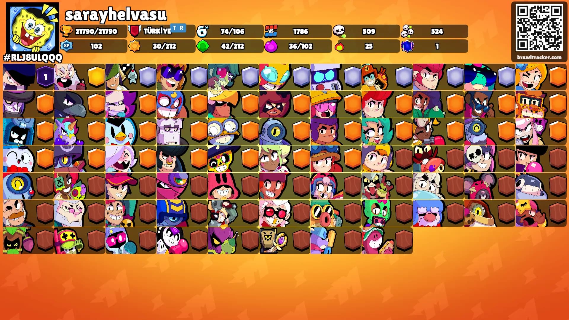 sarayhelvasu's Ranks