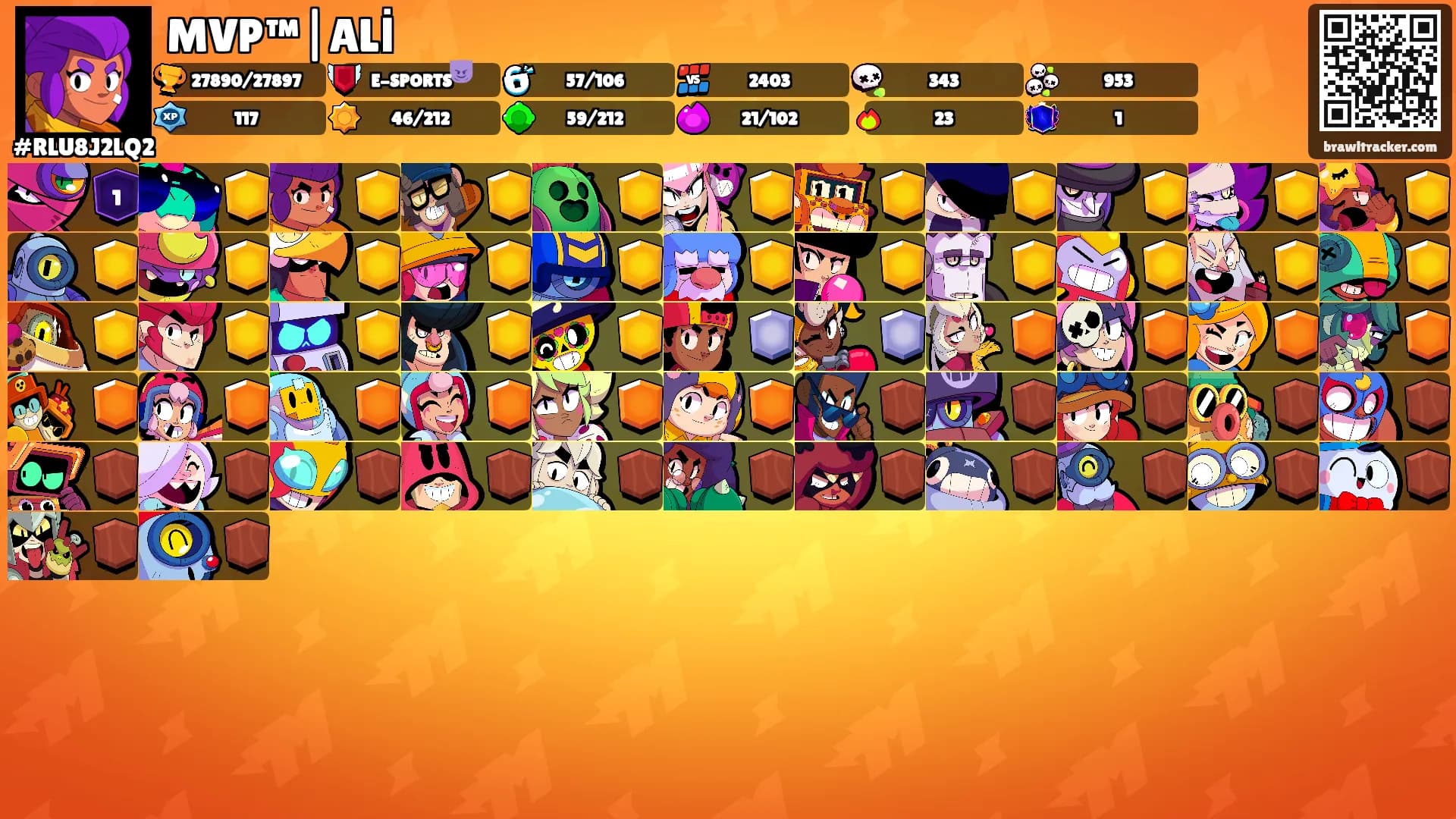 MVP™|ALİ's Ranks