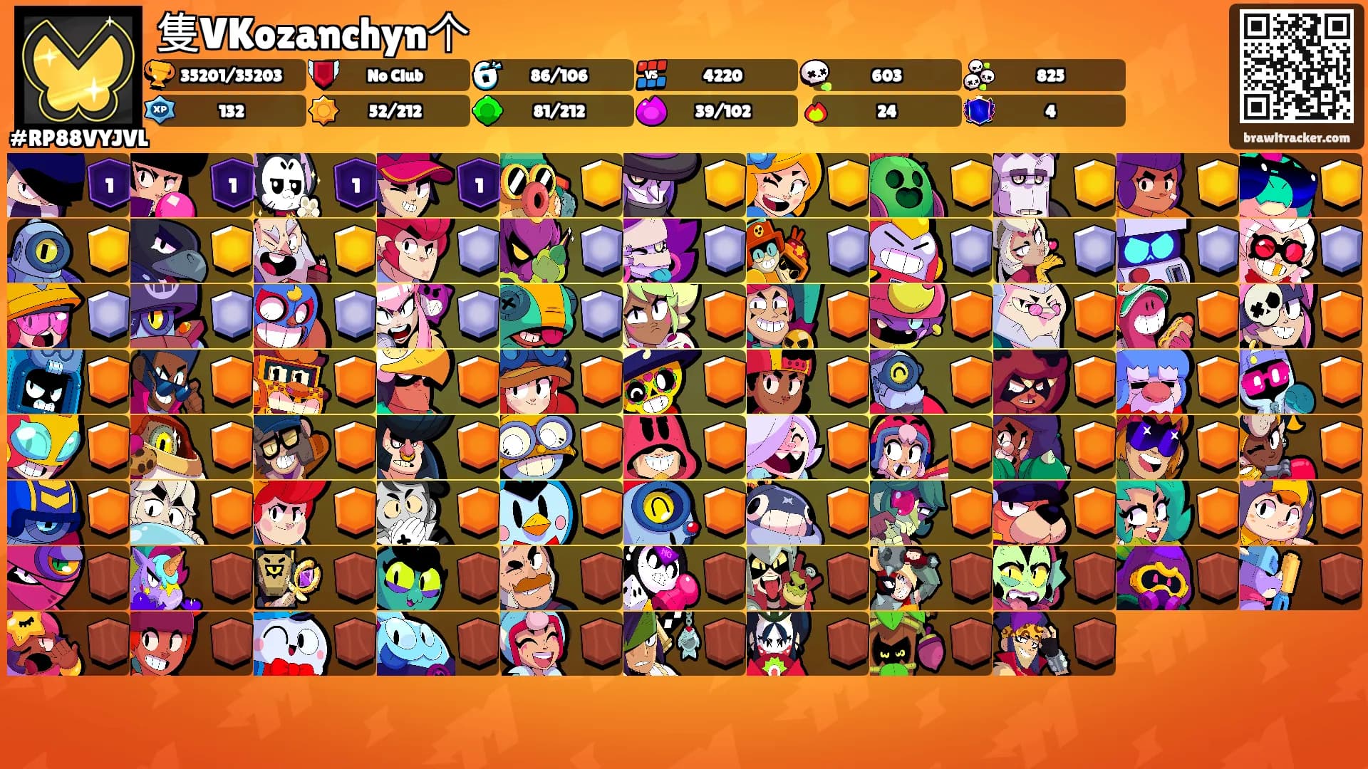 隻VKozanchyn个's Ranks