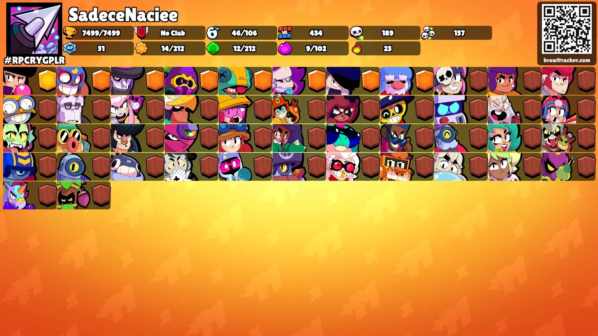 SadeceNaciee's Ranks