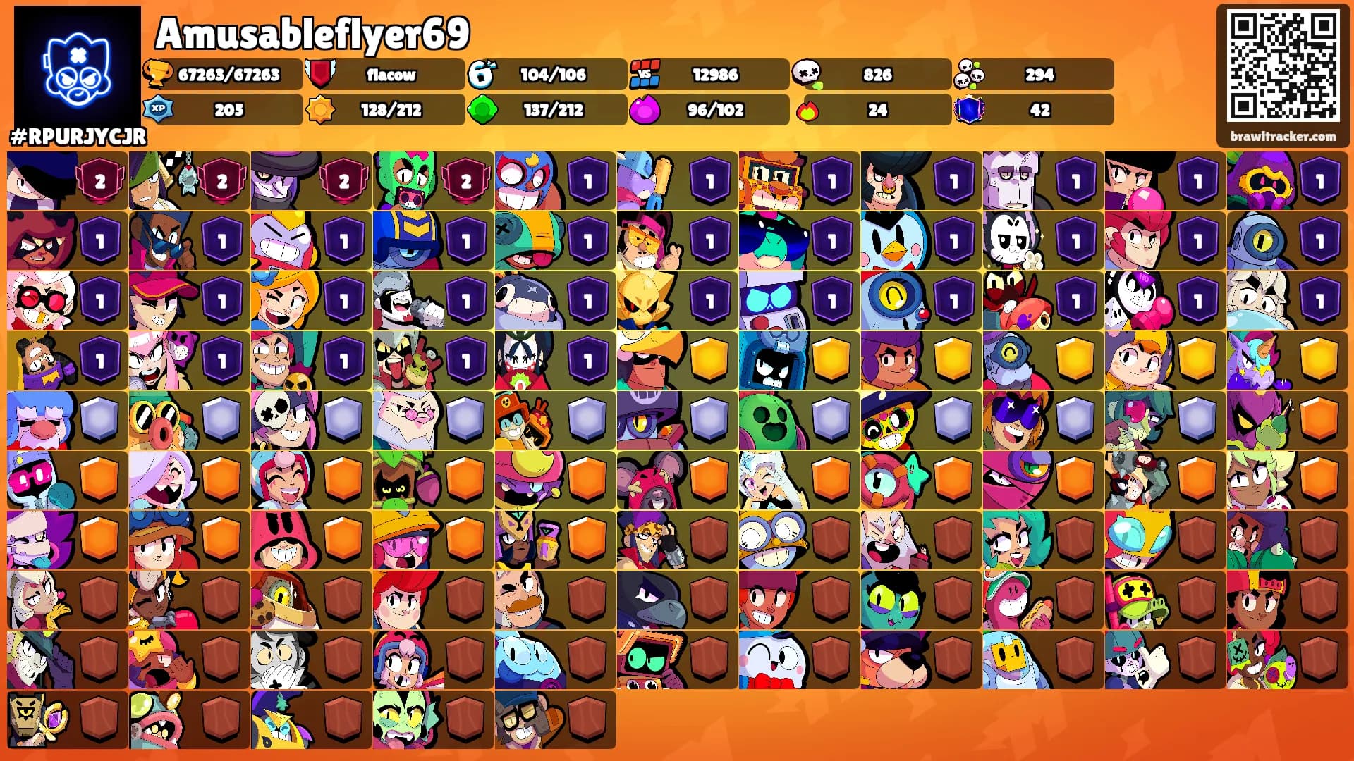 Amusableflyer69's Ranks