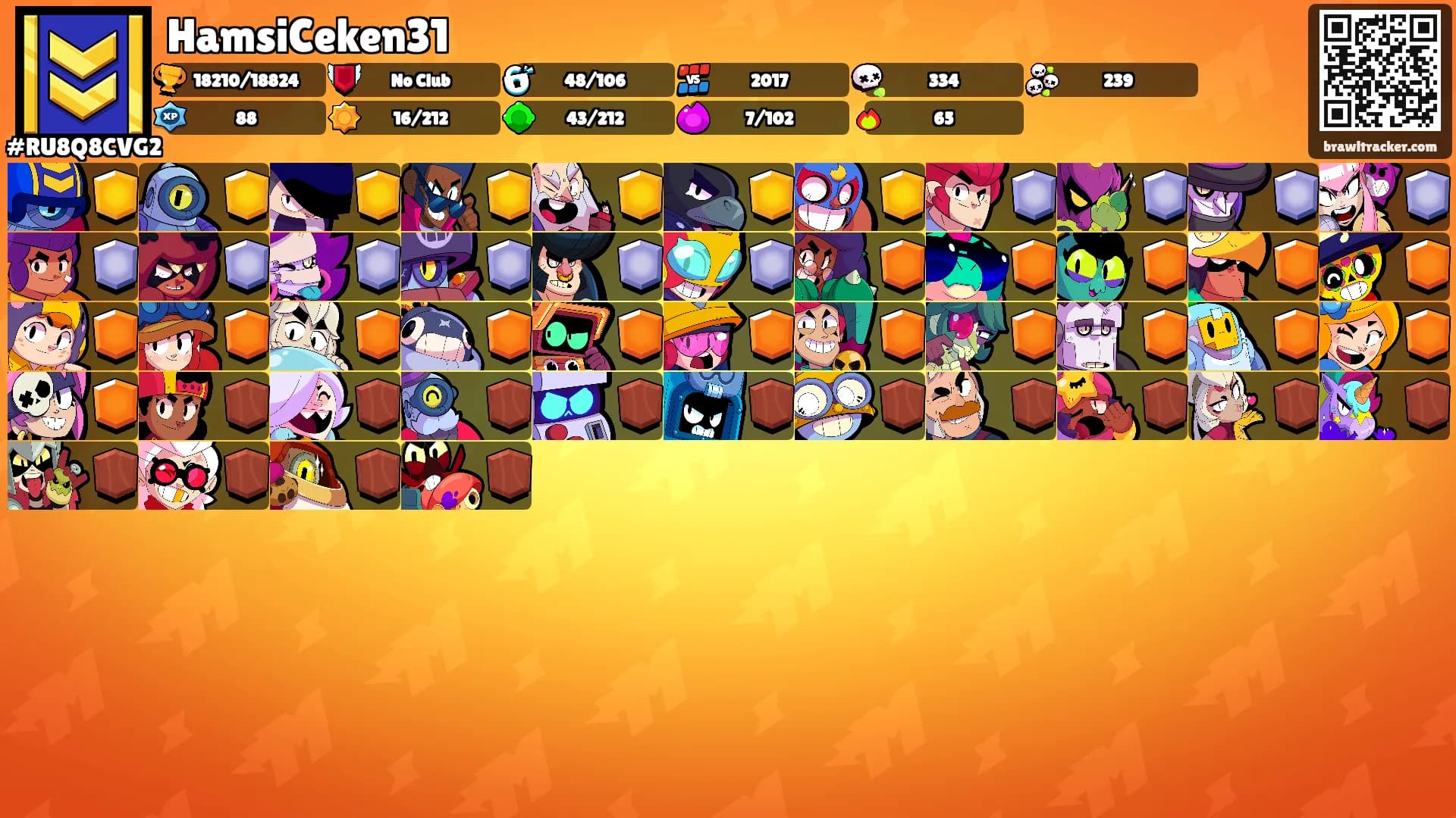 HamsiCeken31's Ranks