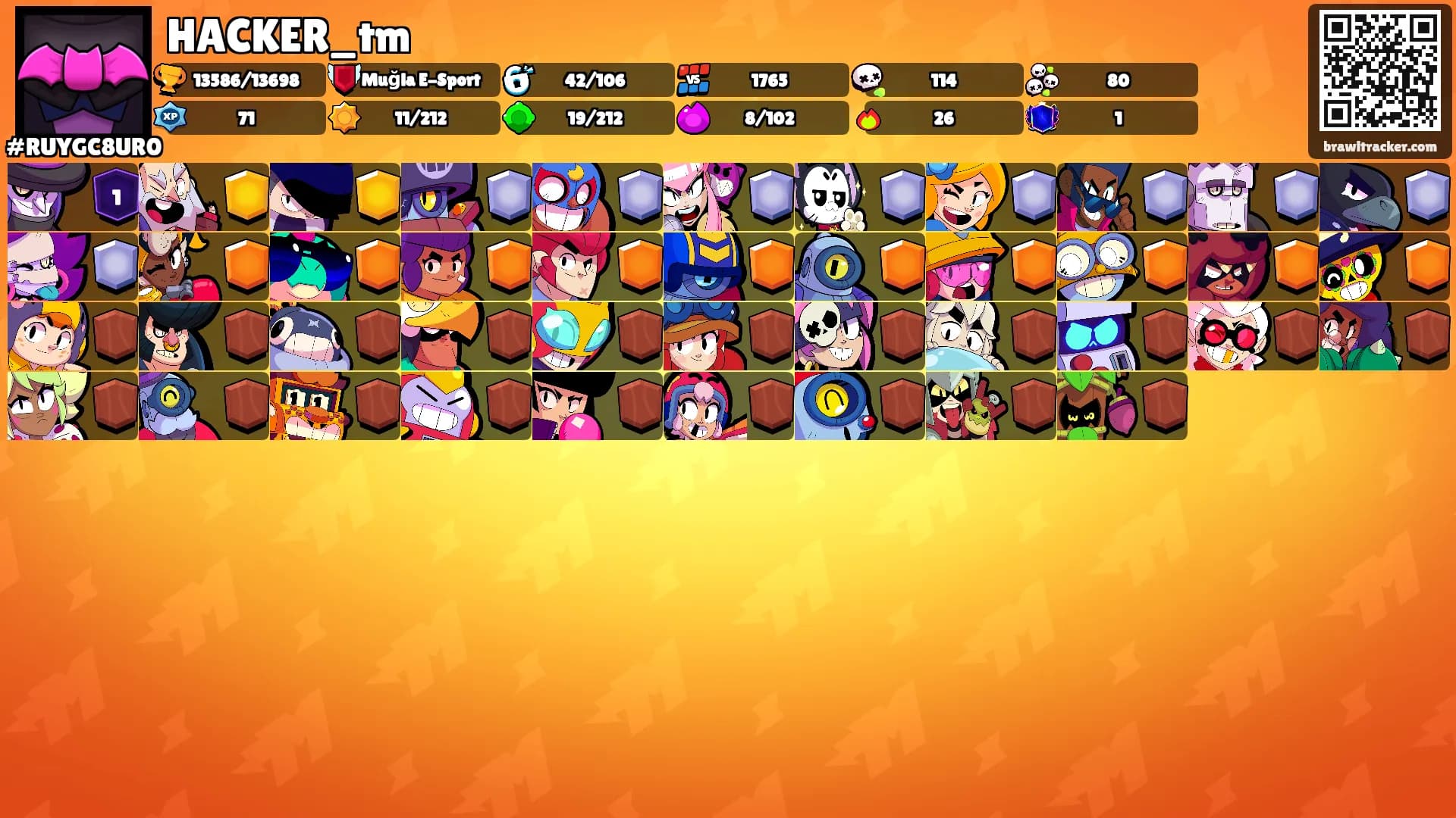 HACKER_tm's Ranks