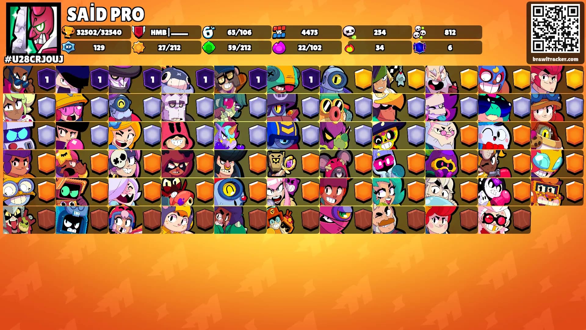 SAİD PRO's Ranks