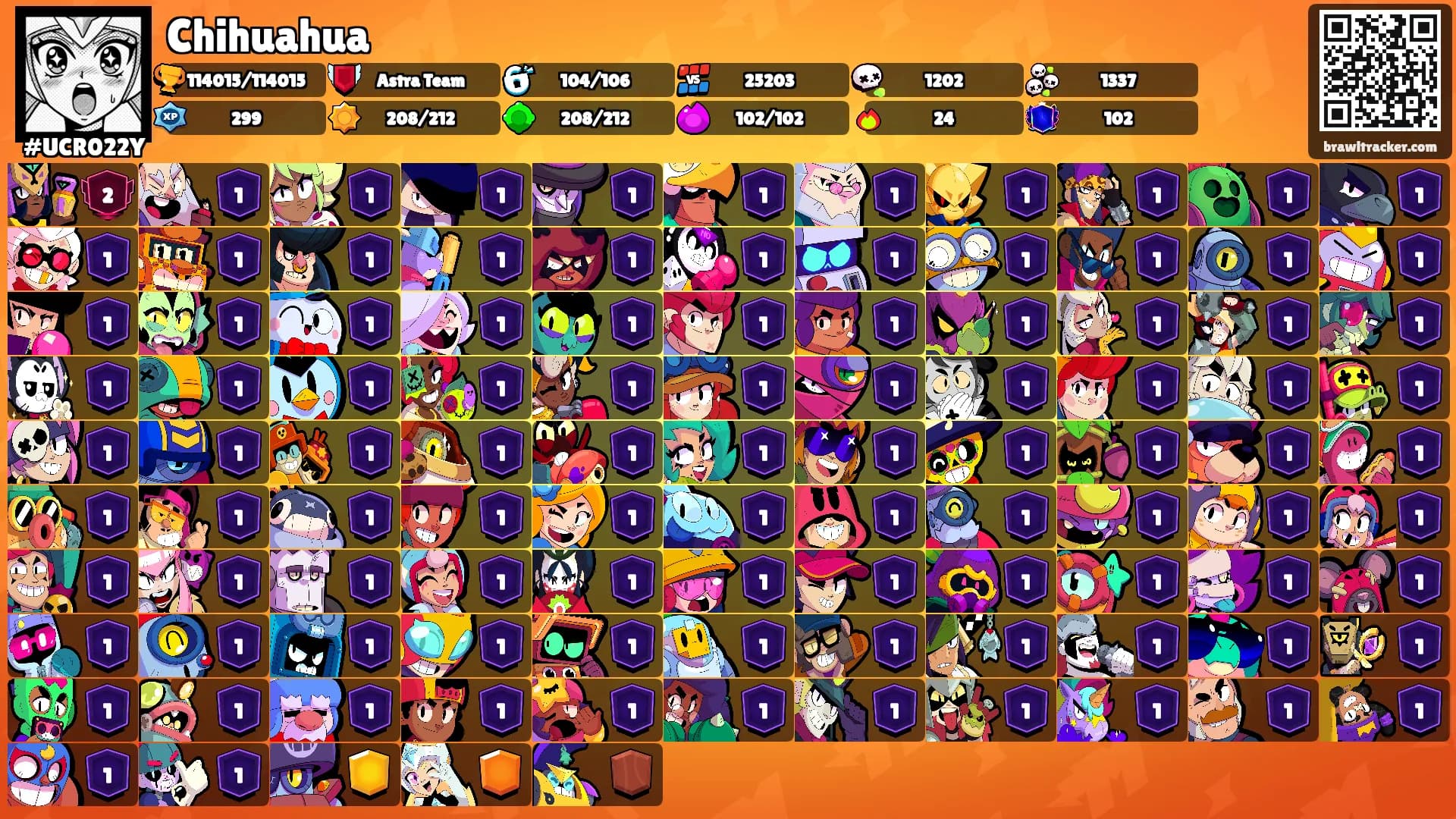 Chihuahua's Ranks