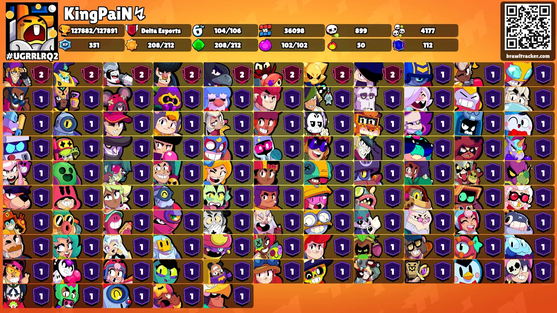 KingPaiN↯'s Ranks