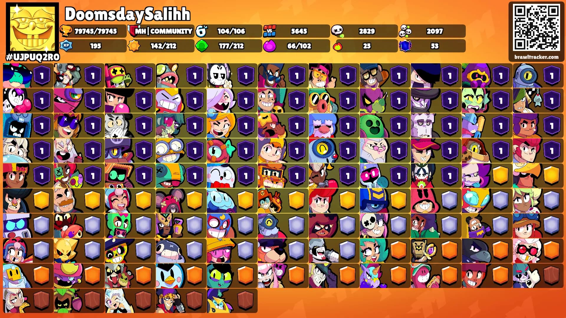 DoomsdaySalihh's Ranks