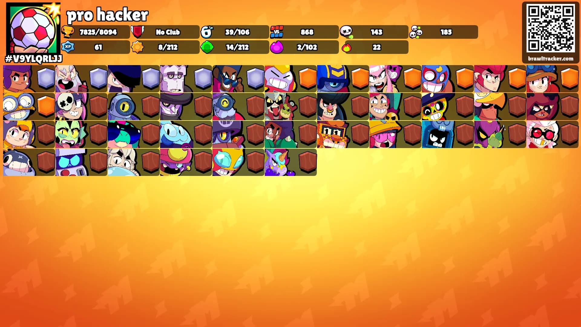 pro hacker's Ranks