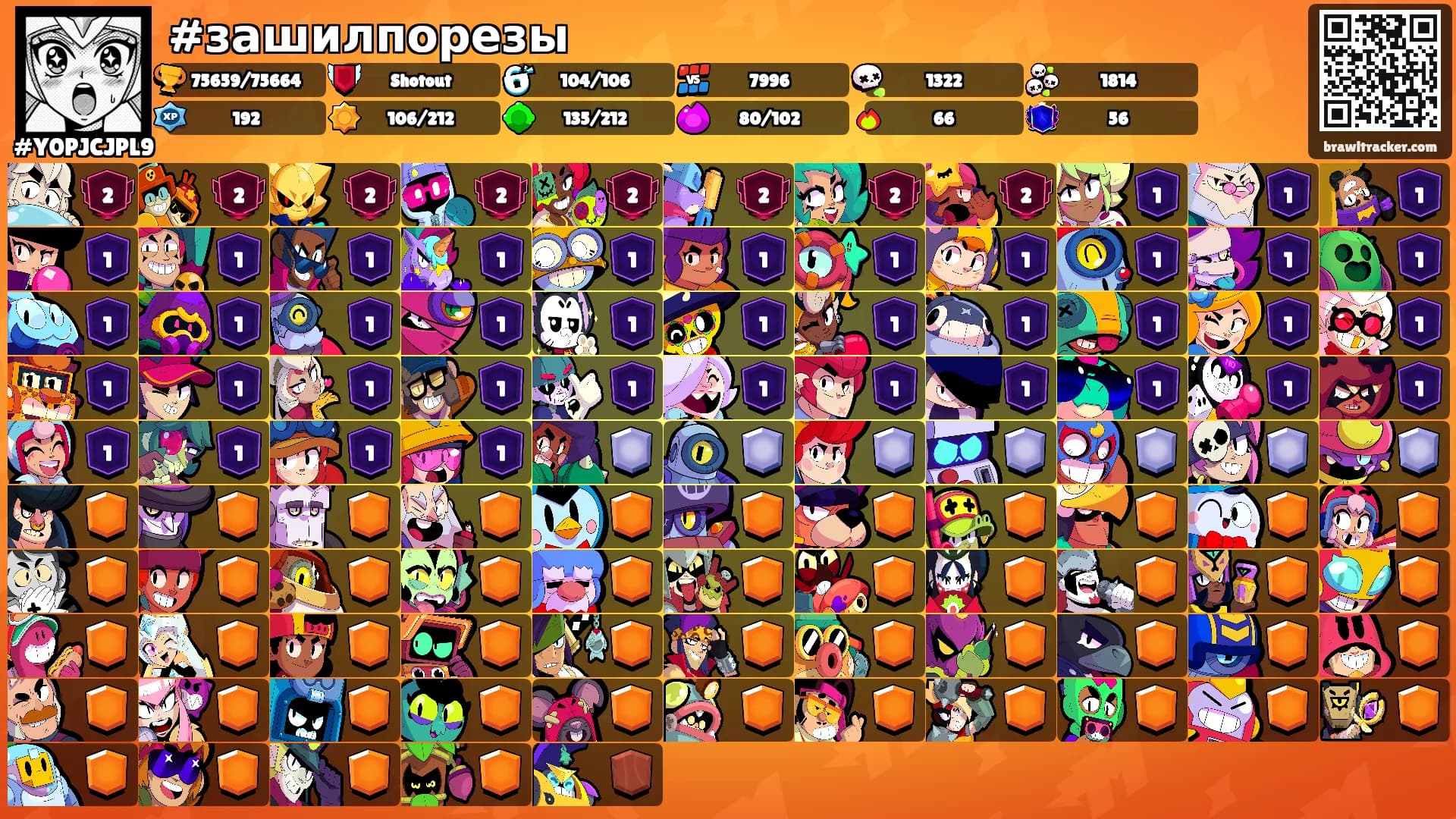 #зашилпорезы's Ranks