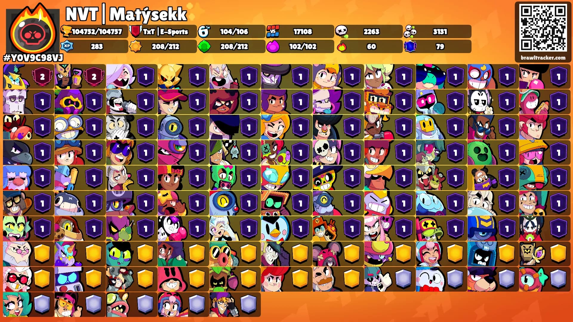 NVT|Matýsekk✨'s Ranks