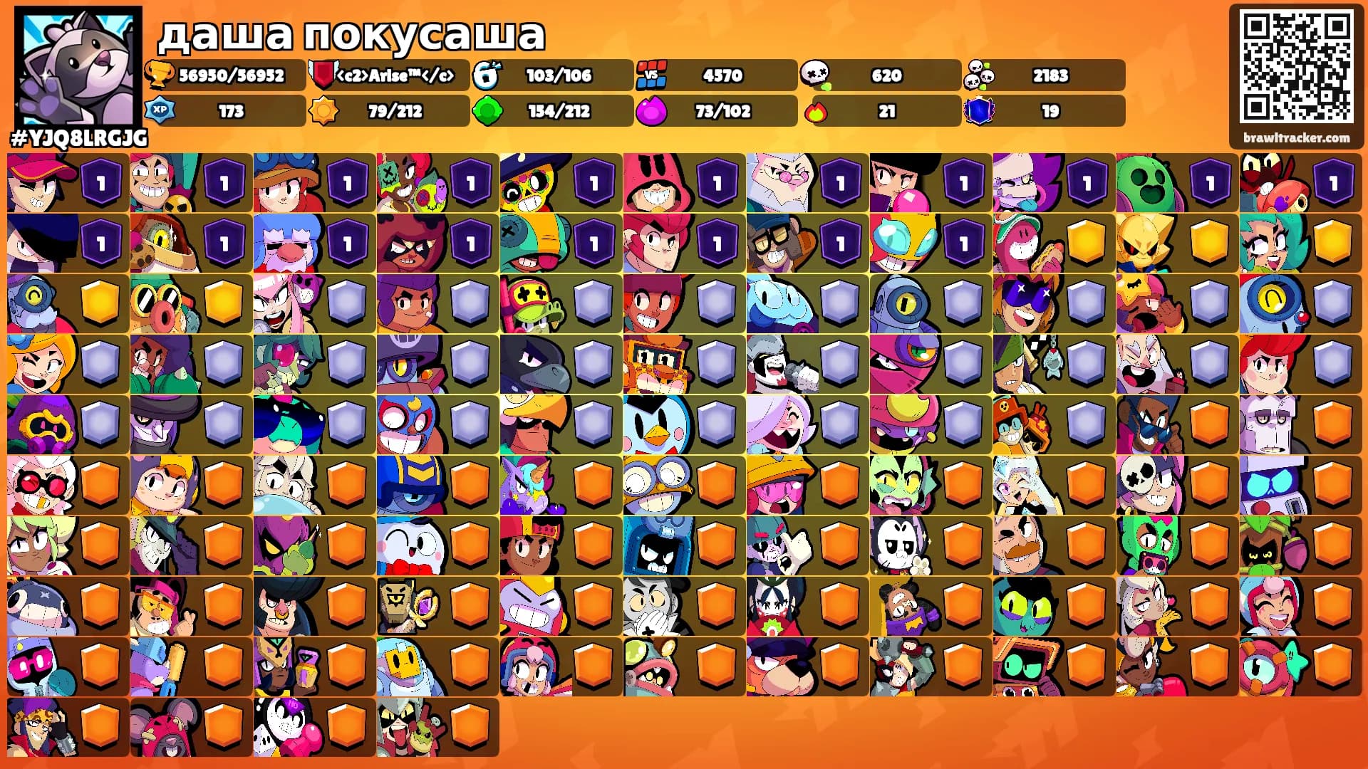 даша покусаша's Ranks
