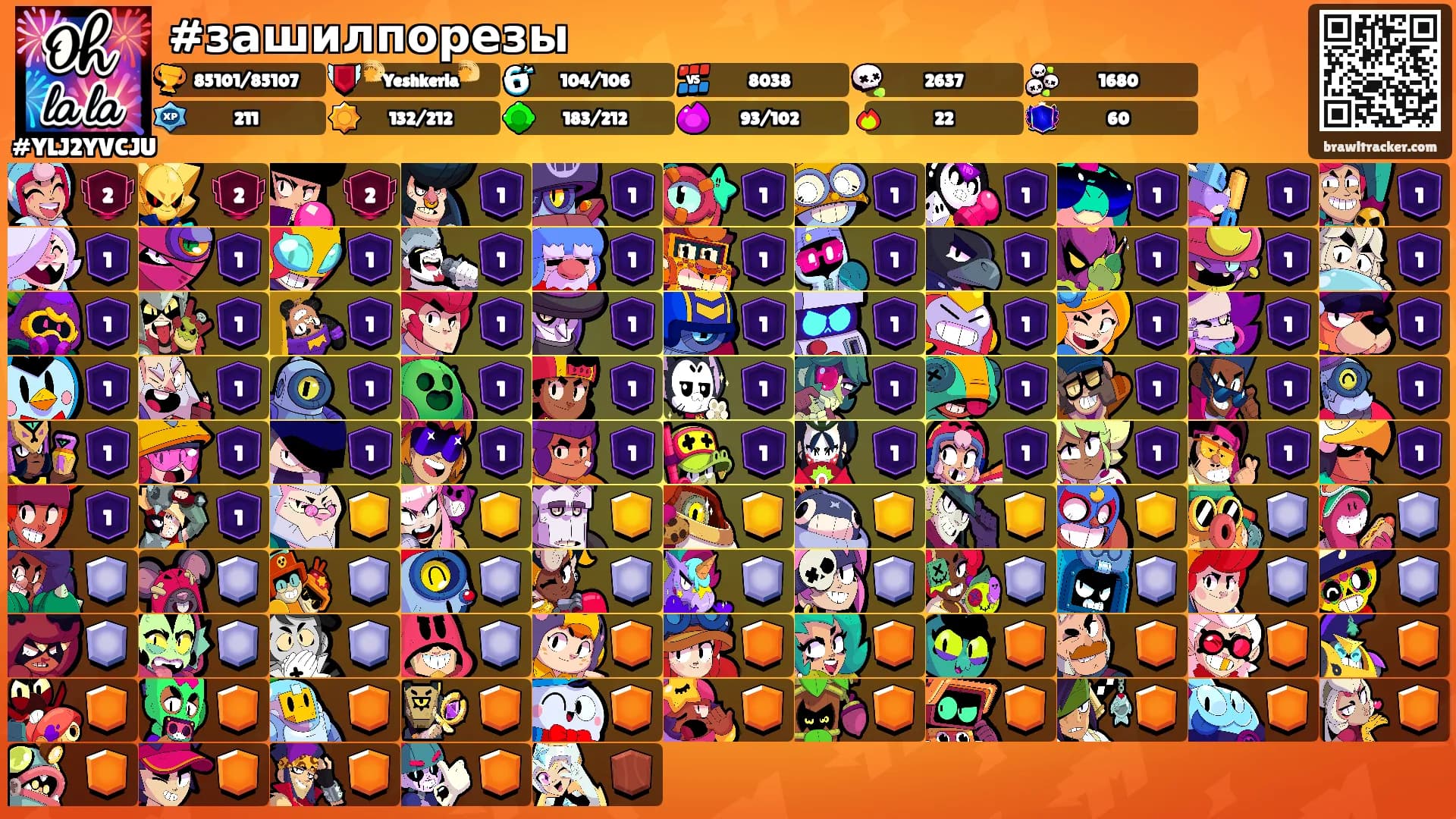 #зашилпорезы's Ranks