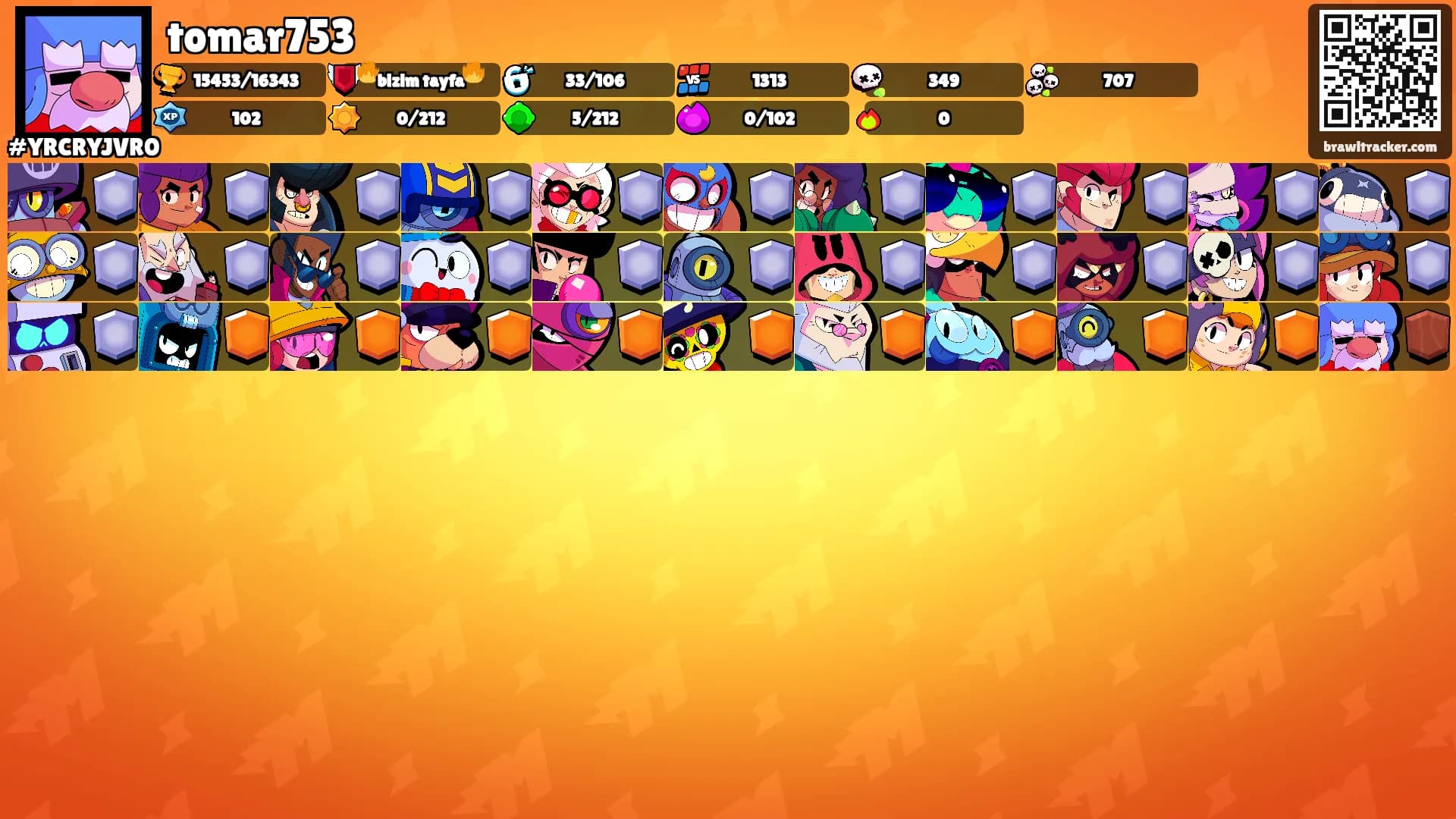 tomar753's Ranks