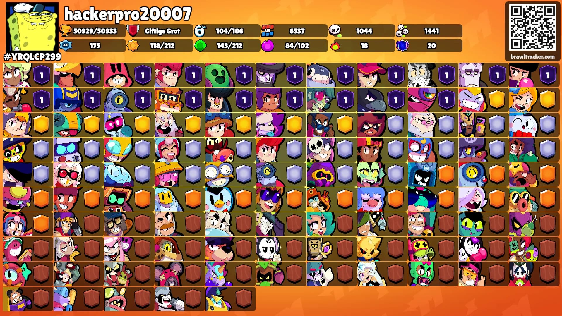 hackerpro20007's Ranks