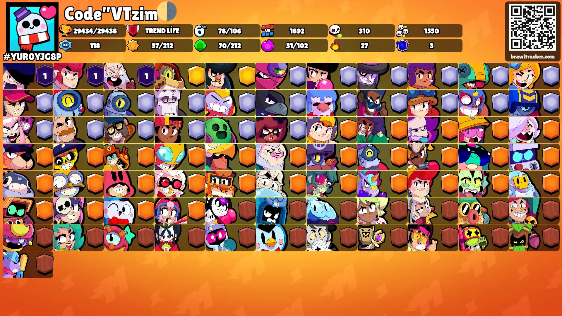 Code”VTzim🌗's Ranks