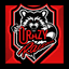 Player Icon
